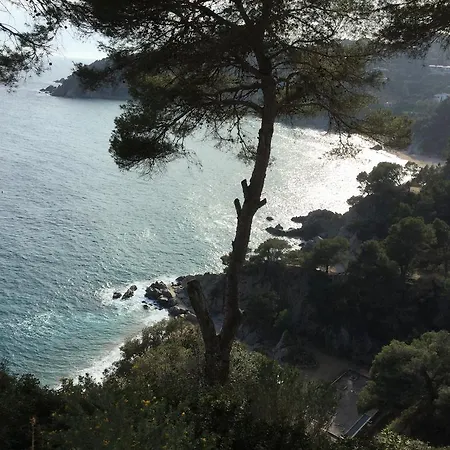 アパート Cala Llevado Tossa De M. A/c Parking Piscina *