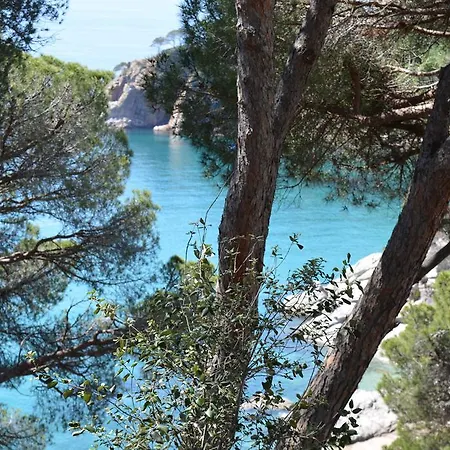 Cala Llevado Tossa De M. A/c Parking Piscina アパート
