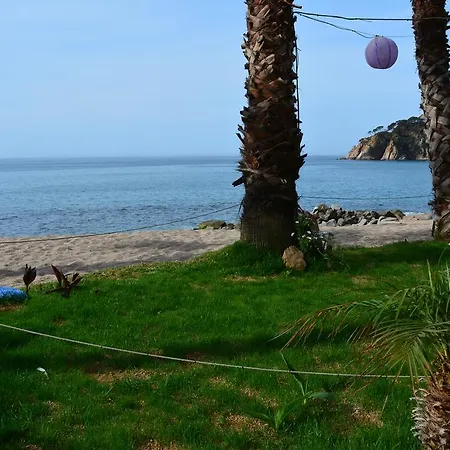Cala Llevado Tossa De M. A/c Parking Piscina トッサ・デ・マール